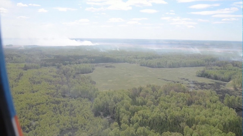 В Увельском лесничестве сгорело 200 гектаров леса