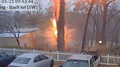 Метеорологи показали, почему не стоит прятаться под деревом в грозу