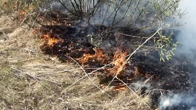Спасатели 2 дня устраняли возгорание лесного массива