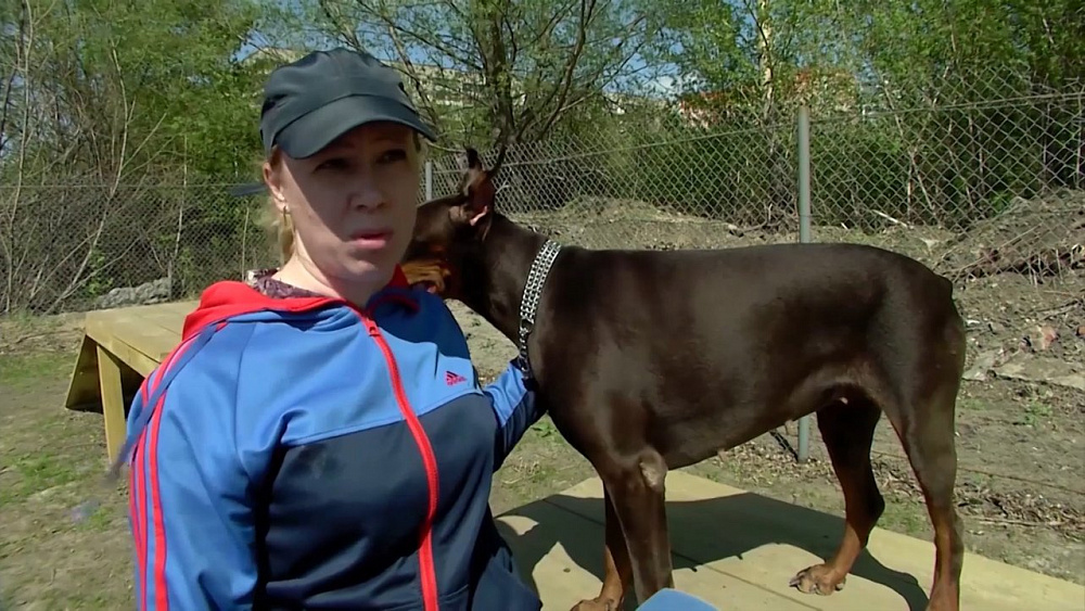 Наше УТРО на ОТВ – центр для собак