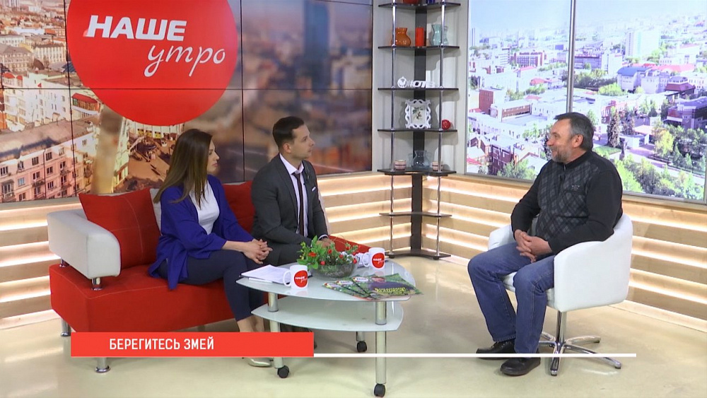 Наше УТРО на ОТВ – берегитесь змей