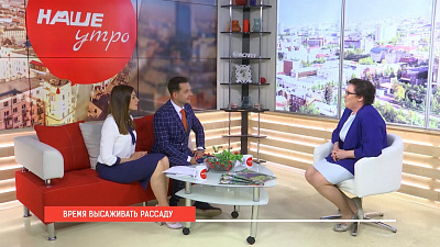 Наше УТРО на ОТВ – время высаживать