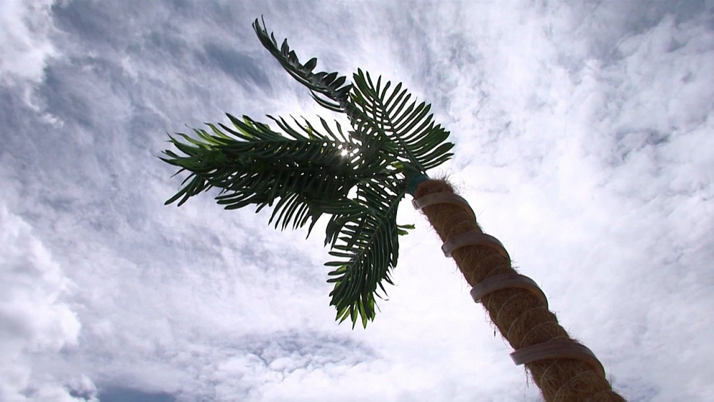 Наше УТРО на ОТВ – включение пляж