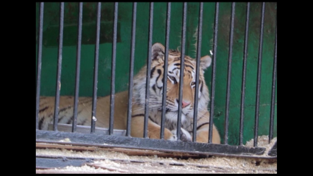 Время новостей. Миасс от 05.06.2018