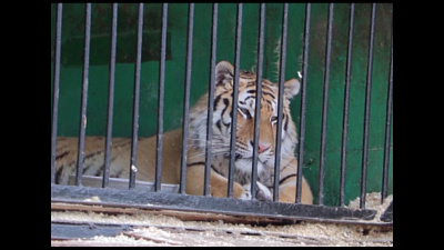 Время новостей. Миасс от 05.06.2018