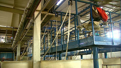 «Малая Сосновка» получит особый статус к сентябрю 