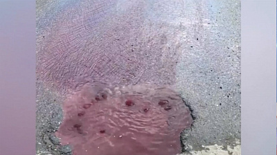 Краситель испугал жителей Златоуста