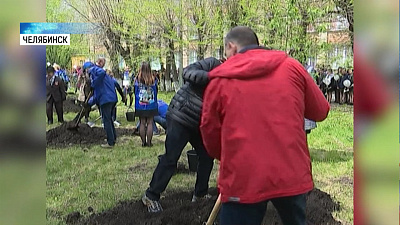 В Металлургическом районе посадили аллею яблонь