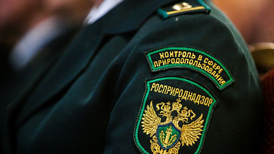 В Росприроднадзоре рассказали подробности недавних обысков на трубных предприятиях