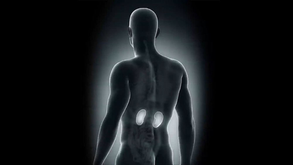 О здоровье 10.06.2018