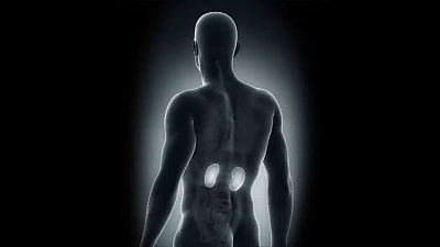 О здоровье 10.06.2018