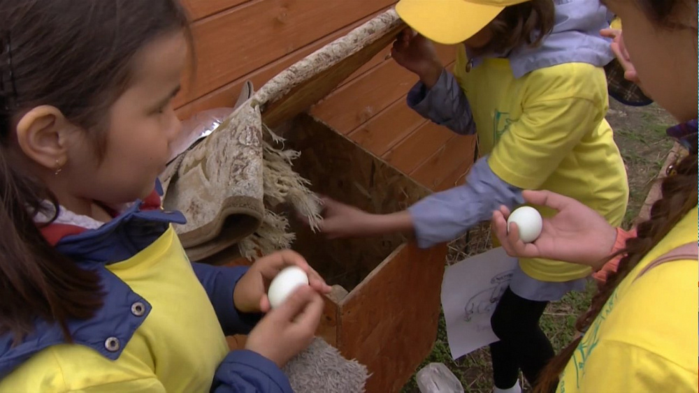 В Челябинской области развивают сельский туризм