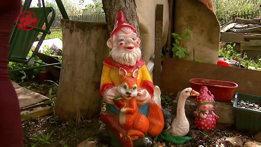 Дмитрий Лазарев рассказал о женщине, которая не может попасть в собственный садовый домик после установки новой двери