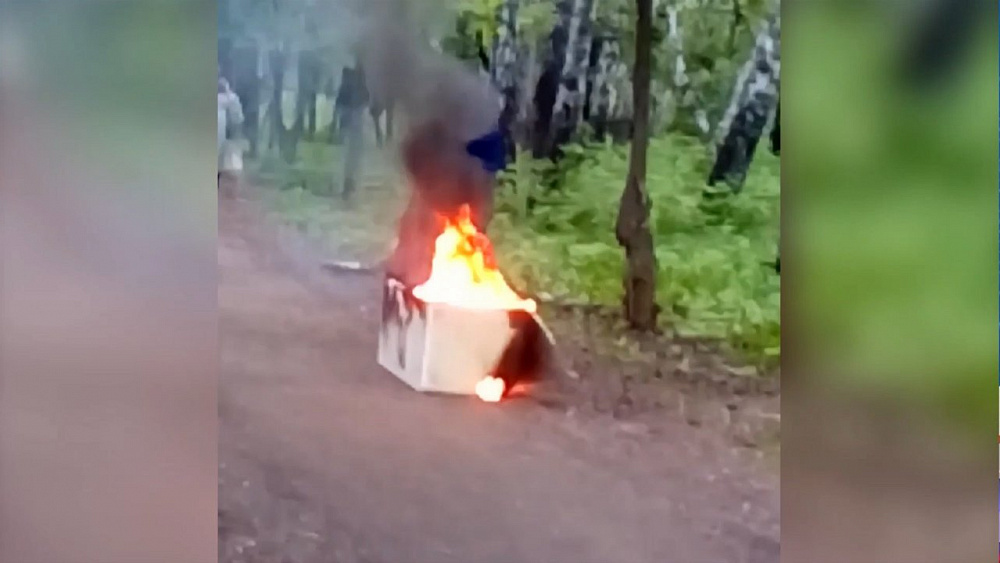 Пенсионер поджег холодильник в парке