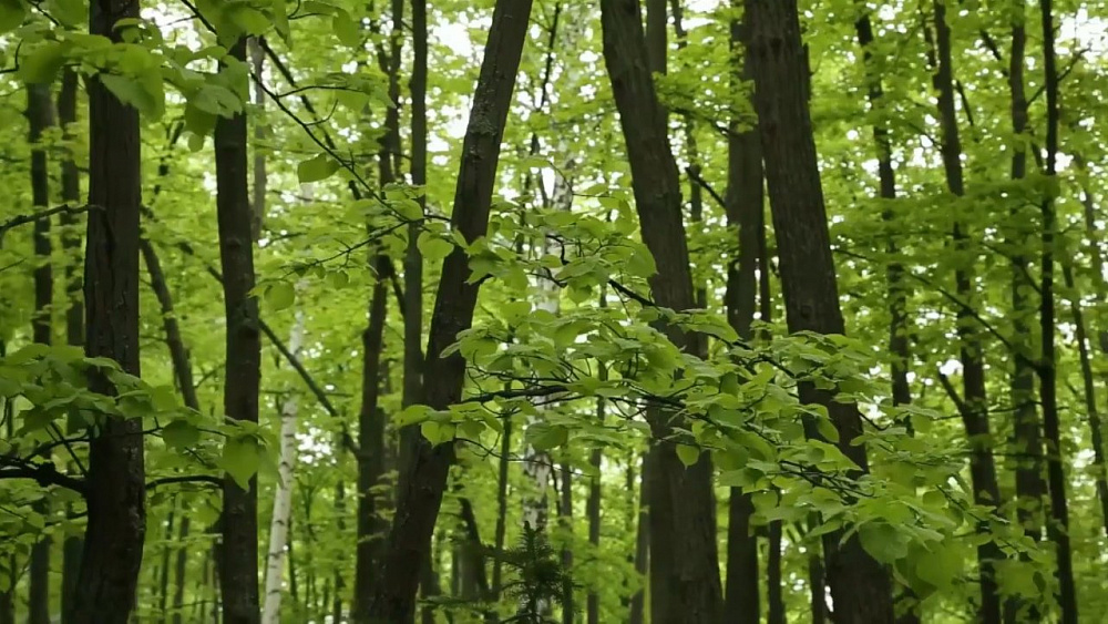 Наше УТРО на ОТВ – ведущие на выезде остров Веры