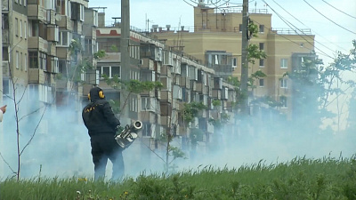 Наше УТРО на ОТВ – клещевая обработка  Наше УТРО на ОТВ – клещевая обработка