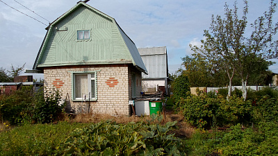 Владельцы садов в товариществе «Петушок» бьют тревогу