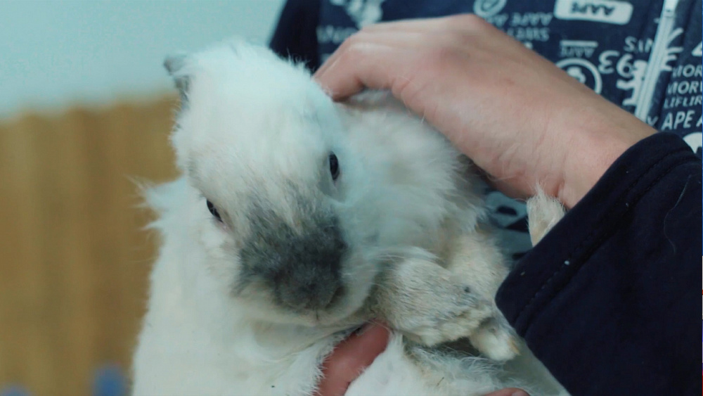 Сирот из Карабаша свозили на каникулы в Екатеринбург 