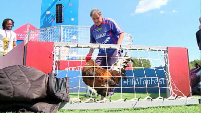 Французскому болельщику подарили петуха