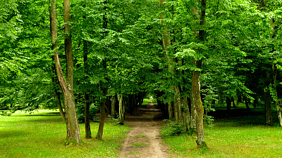 На Южном Урале появится общий «Сад Победы»