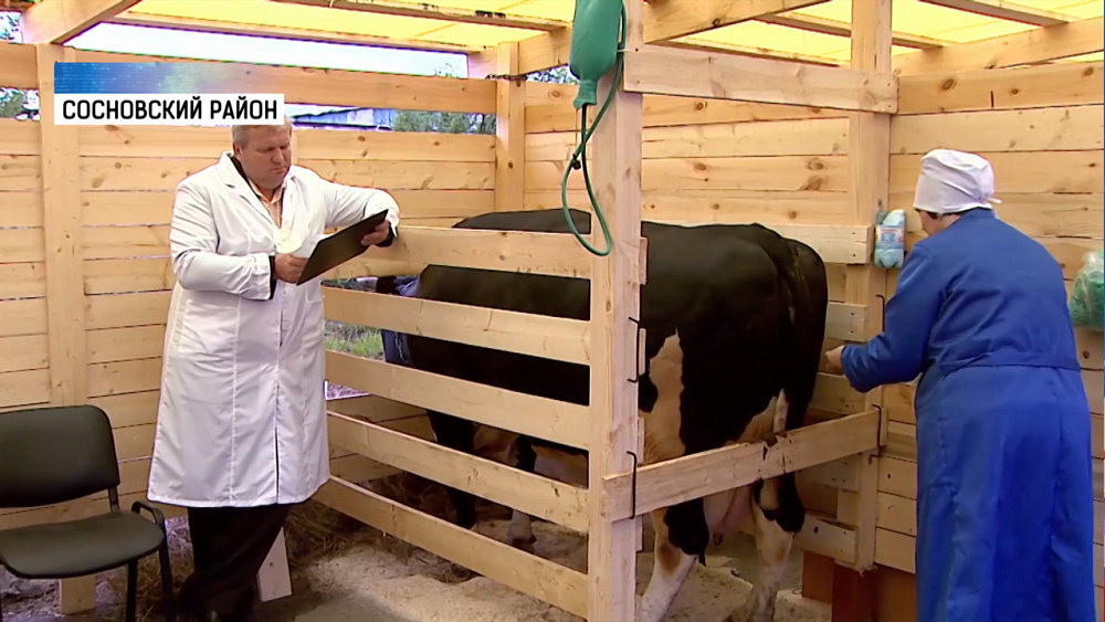 Конкурс операторов по воспроизводству стада прошел в Челябинской области