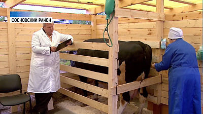 Конкурс операторов по воспроизводству стада прошел в Челябинской области