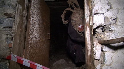 Необъяснимые явления природы и даже привидения: в Челябинской области организовали необычный квест для собак и их хозяев 