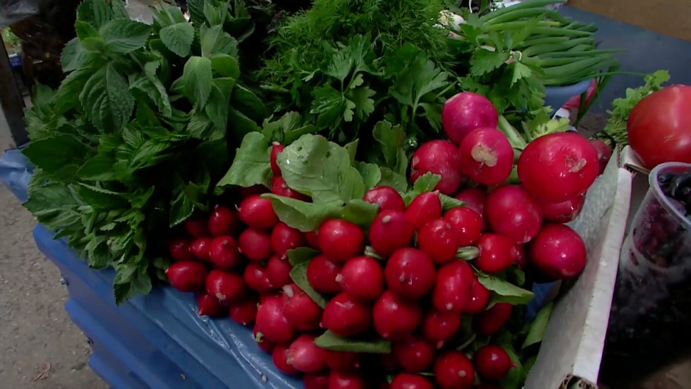Местная редиска дёшево и сердито