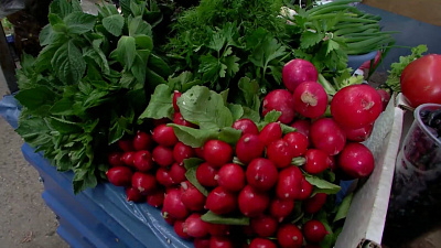 Местная редиска дёшево и сердито