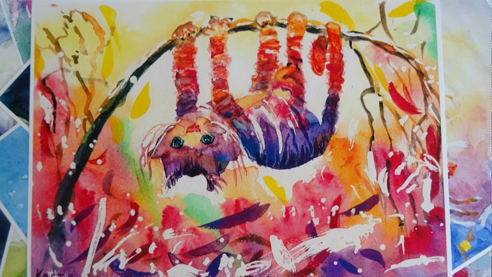 Болельщики мира поддерживают жителя Миасса