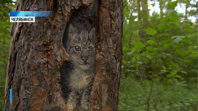 Художница разрисовала деревья в парке Гагарина