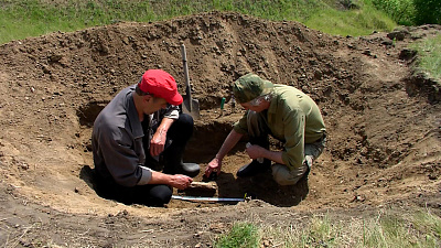 Кости древних животных обнаружены в Челябинской области 