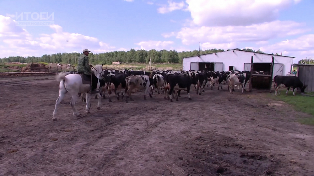 Итоги. Время новостей от 29.06.2018