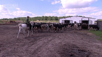 Итоги. Время новостей от 29.06.2018
