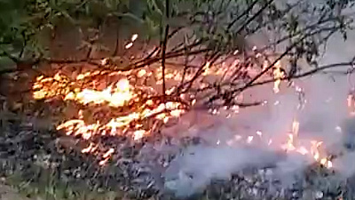 Пожар в парке Гагарина попал на видео 