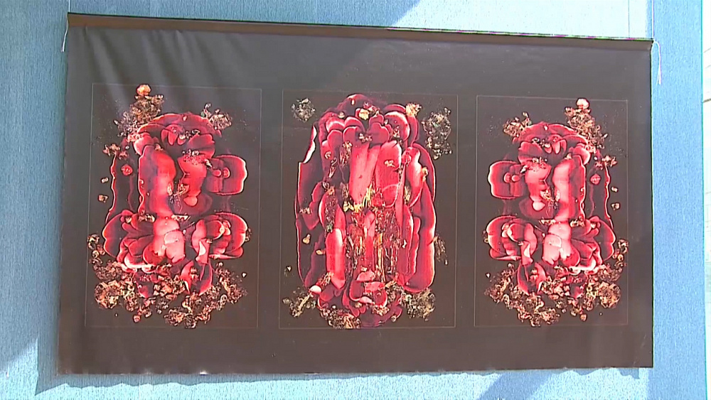 ФОТОВЫСТАВКА