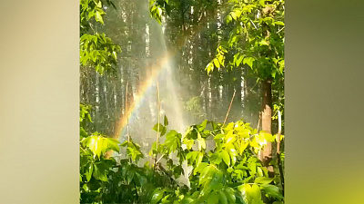 Огромный фонтан забил в лесу под Чебаркулем 
