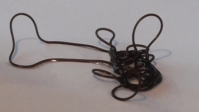 Паразита, выпавшего из водопроводного крана в Чебаркуле, назвали Васей 