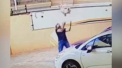 Мужчина спас жизнь собаке, падающей с 9-го этажа