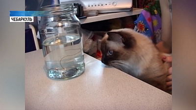 Жительница Чебаркуля нашла «конский волос»