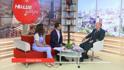 Отдыхающие в палаточном лагере челябинские школьники научатся определять возраст деревьев