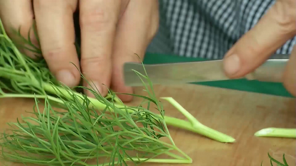 Южноуральские садоводы советуют не заглублять корневую шейку при размножении пионов