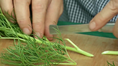 Южноуральские садоводы советуют не заглублять корневую шейку при размножении пионов