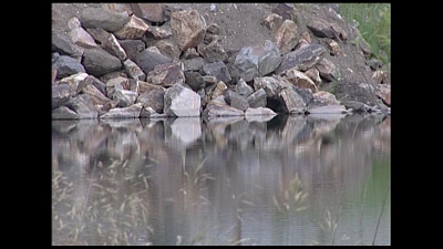 Время новостей. Миасс от 11.07.2018