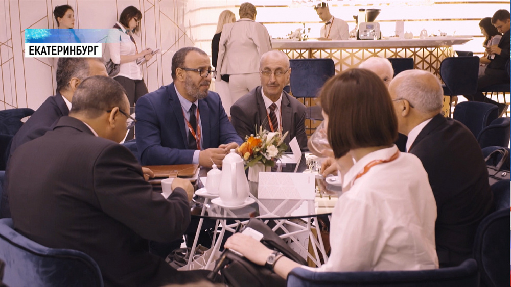 РМК поможет алжирским промышленникам добывать медь