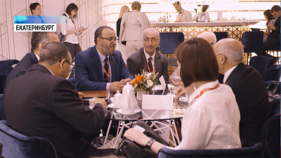 РМК поможет алжирским промышленникам добывать медь