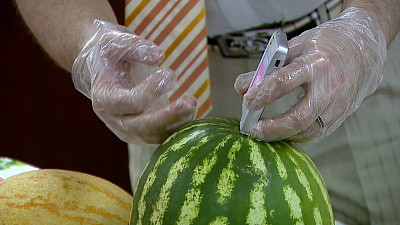 Есть ли в челябинских арбузах нитраты — узнал «Народный контроль» 