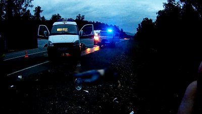 Мужчина погиб в ДТП с участием двух машин и лося 