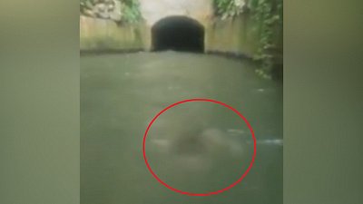 Жуткого призрака засняли туристы во время сплава по реке 