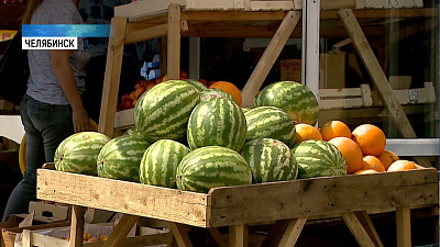 «Народный контроль» проверяет арбузы на нитраты